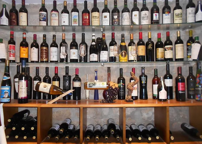 Wine Escape By Fidalsa Baigorrietxea * Villabuena de Álava